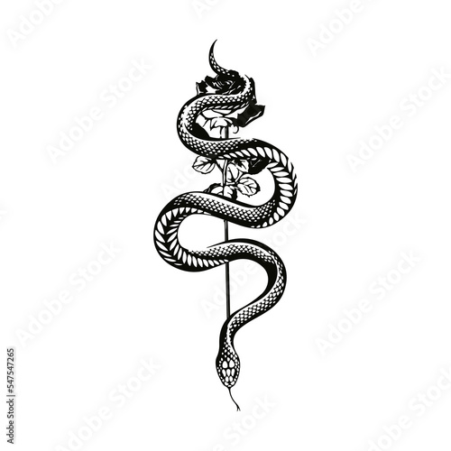 vector illustration of a rose with a snake