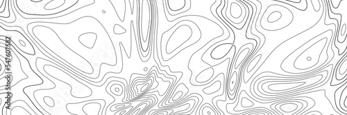 Topographic map background. Grid map. Pattern of contour lines. Abstract vector illustration.