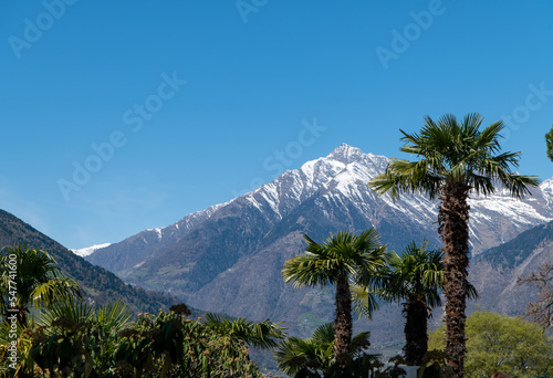 Merano (Meran) in South Tyrol: panoramic view of the mountain as seen from Tappeinerweg- Trentino Alto Adige, northern Italy