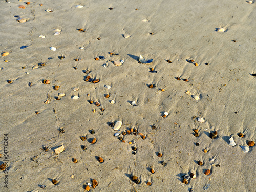 Small stones washed up onto the beaches on the Outer Banks of North Carolina after heavy surf from Hurricane Nicole