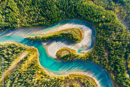 A drone view of the river in the woods. An aerial view of an autumn forest. Winding river among the trees. Turquoise mountain water. Landscape with soft light before sunset. Alberta, Canada.