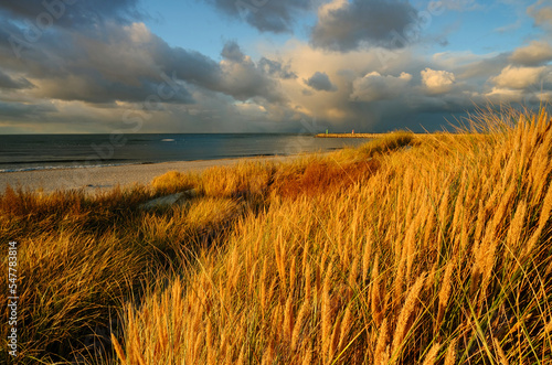 Wydmy na wybrzeżu Morza Bałtyckiego, w jesiennym ciepłym świetle