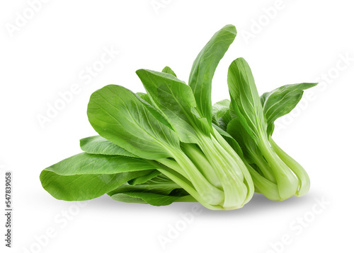 Bok choy vegetable isolated on transparent png