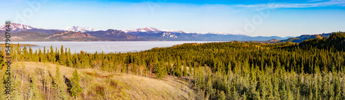 Mid-May Lake Laberge taiga landscape Yukon Canada