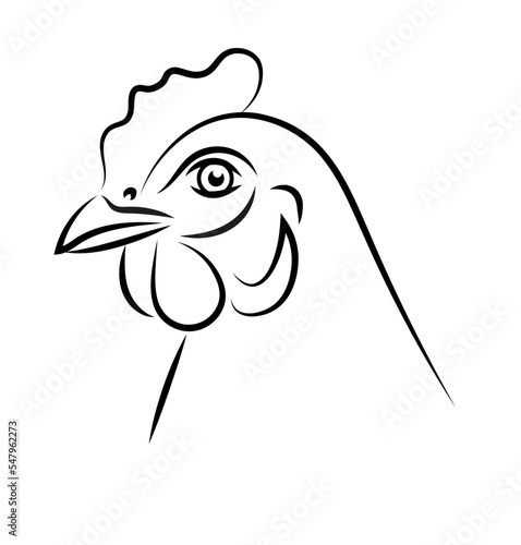 Kura ilustracja chicken hen illustration