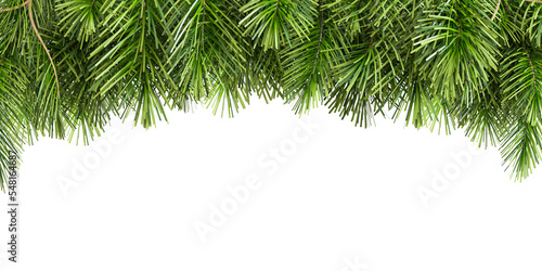 christmas background with branches