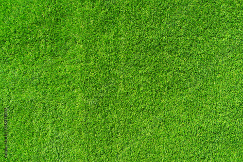 Lawn background. Green grass surface. Sport, decor, nature, spring concept.