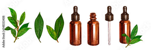 Bay set essential oil, bay leaves, amber glass bottle, dropper. Drawing watercolor illustration isolated on white background. Suitable for medicine and cosmetology, natural cosmetic