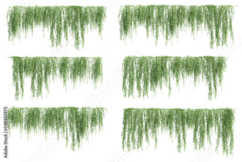 3D illustration of a set of creeper plants, hanging from the top