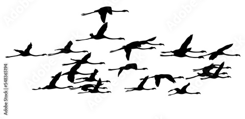 Silhouette of flying birds clipart. Flamingos are flying. A flock of birds.