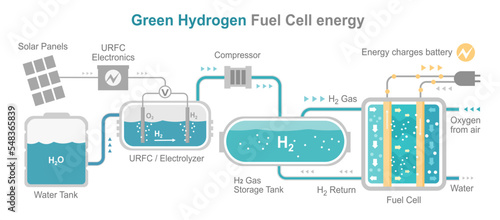 Green hydrogen energy fuel cell diagram layout system h2 to electric power vector