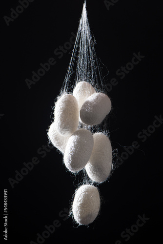 natural silk with silkworm cocoons isolated on black background.