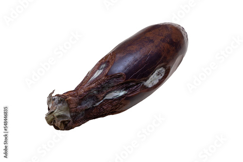 Spoiled eggplant on transparent background. Mold on spoiled vegetables. Rotten food. Isolated. Close-up. Png
