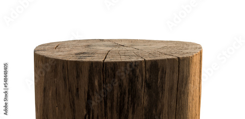 Tree trunk wood Podium 