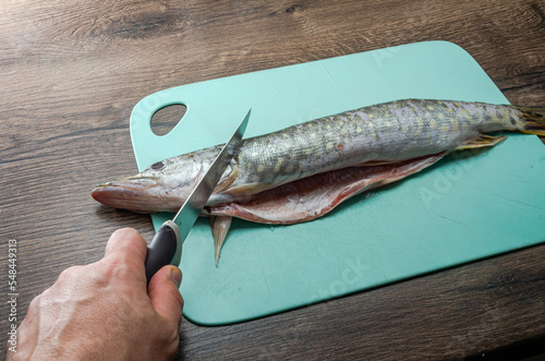 The cook cuts raw pike fish on a cutting board with a knife 