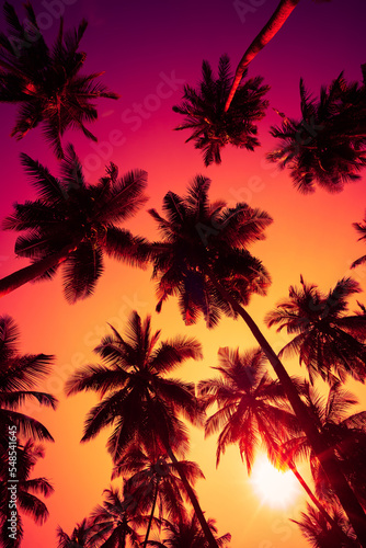 Colorful tropical sunset with coconut palm trees silhouettes and shining sun