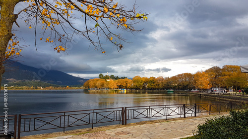 ioannina city in winter season with yellow platanus trees beside the lake pamvotis ships boats on the dock greece