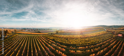 Colorful vineyards fields in the Austrian Weinviertel region during autumn