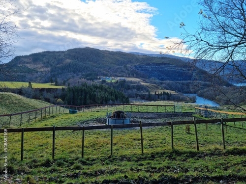 fenced feeding station for barn animals on green field with tree covered mountain background in the summer