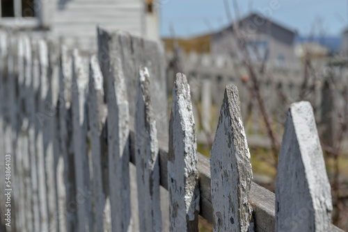 A long curved white wood picket fence with the sun shining on the white boards. There's a white building at the end of the fence and a flower garden to the left of the clean lines of the fence. 