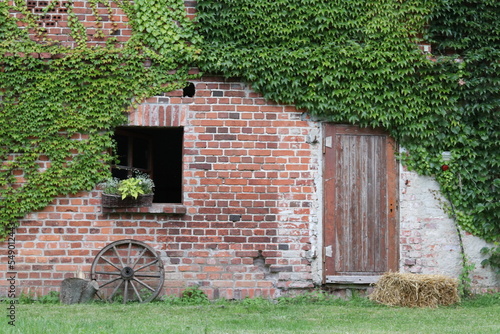 charming rural view