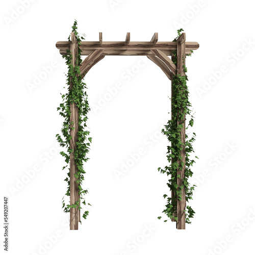 3d illustration of wooden arched ivy isolated on transparent background