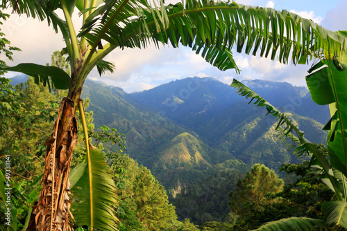 The Blue Mountains in Jamaica, Caribbean, Middle America