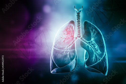 Human lungs with trachea and bronchi futuristic 3D rendering illustration with copy space. Anatomy, medical and healthcare, biology, medicine, science concepts.