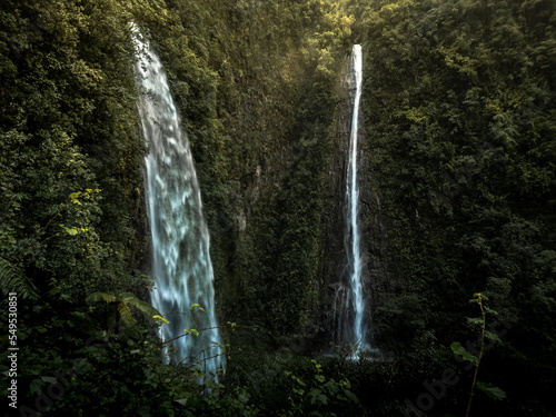 Waterfall next to Grand Etang, La Réunion