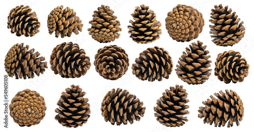 A collection of small pine cones for Christmas tree decoration isolated against a transparent background. A collection of large pine cone.