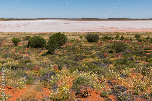 Dry salt lake in the Red Centre, Northern Territory, Australia