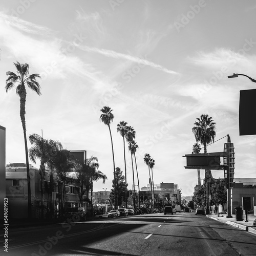 Hollywood Boulevard street landscape with palm trees in Los Angeles, California, USA, black and white retro-style photo