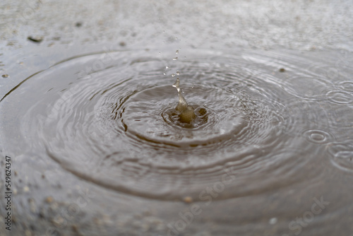 波紋 雨 水たまり