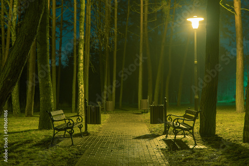  Ławki w nocnym parku