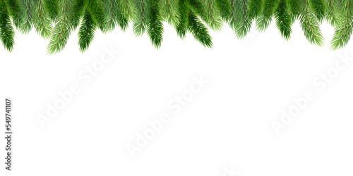 Fir leaves with transparent background