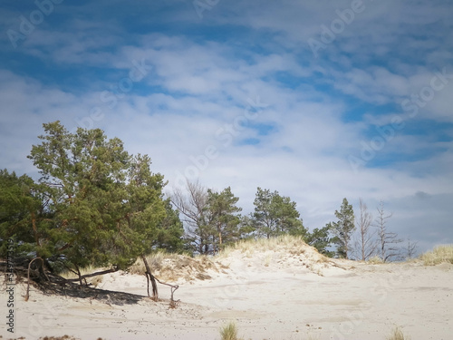 Sand dunes in Stilo, Leba Poland.