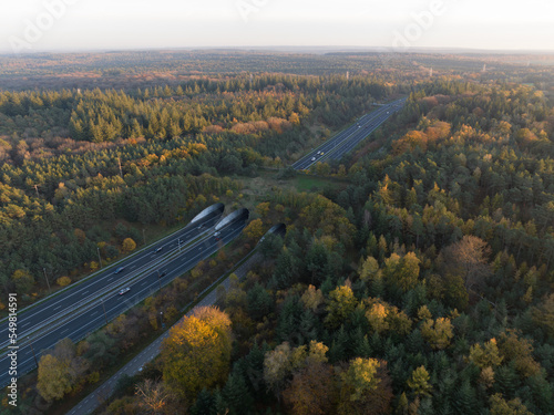 Ecoduct, ecopassage, nature bridge or game changeover. Infrastructure structure for animals and other wildlife to cross traffic, passage over a highway. Nature and man made objects merge.