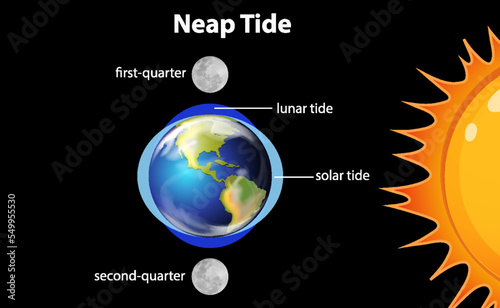 Diagram showing neap tides