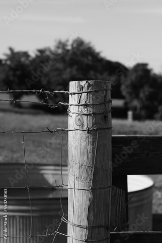 Typical wooden fence post in grayscale.