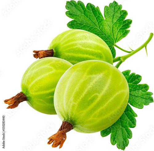 Gooseberry berries isolated