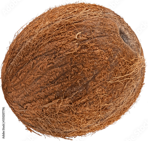 One whole coconut isolated 