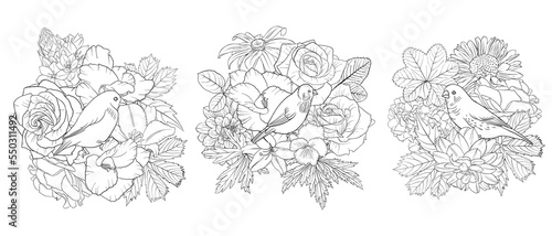 vector drawing natural background with birds and flowers, black and white coloring page, hand drawn illustration