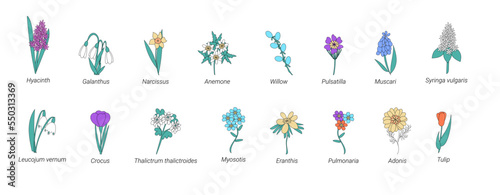 Vector collection of spring flowers with names in doodle style. Collection of Herbs and Wild Flowers of signed titles. Garden or Forest Blossoms. Cartoon Vector Illustration