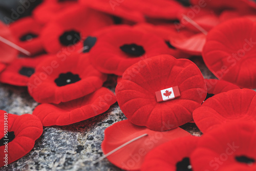 Remembrance Day red poppy flowers on Tomb of the Unknown Soldier in Ottawa, Canada.