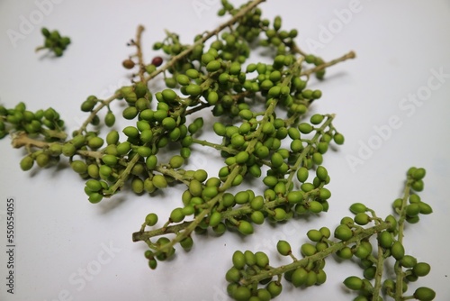 Green young Andaliman on the white background. Commonly known as Tuba or Itir-itir. the fruit of some plants belonging to the clan of zanthoxylum. In indonesia known for Batak cuisin or Batak pepper.