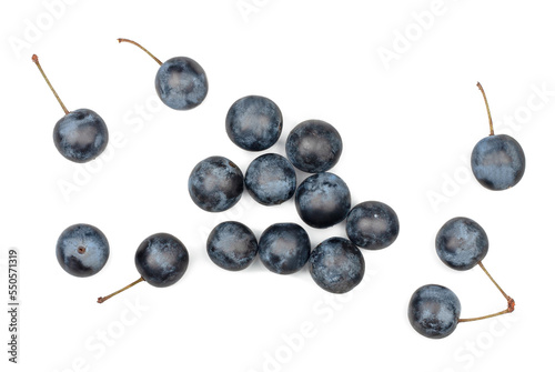 Blackthorn fruits isolated on white background, top view