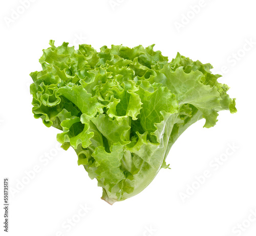 Fresh green lettuce isolated on transparent png