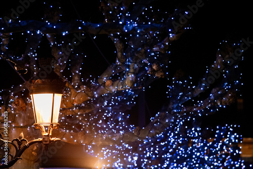 Illuminated old street lamp and blue Christmas illuminations on trees in Alsace