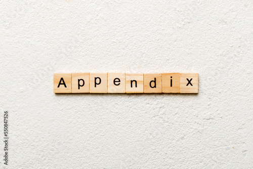 appendix word written on wood block. appendix text on table, concept