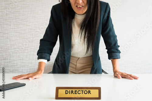 Young caucasian brunette business woman director in office swear at you pov with angry face mock you